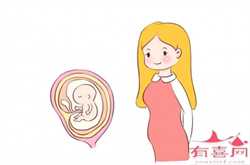 怀孕六个月侧睡会压到宝宝吗