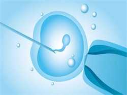 怀孕后尿黄是什么原因导致的